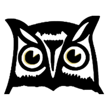 Avail Studio | Website Design, Marketing, Hosting, SEO Services